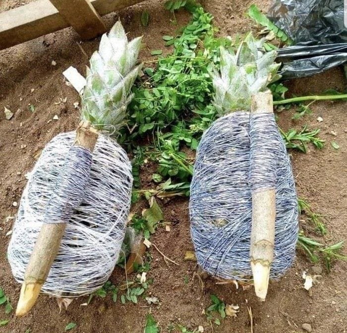 DEROULEMENT RITUEL D’ENVOÛTEMENT DU RETOUR AFFECTIF DU GRAND MAITRE MARABOUT